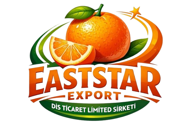 EAST STAR EXPORT DIŞ LİMİTED ŞİRKETİ